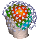 MEG BRAIN IMAGING